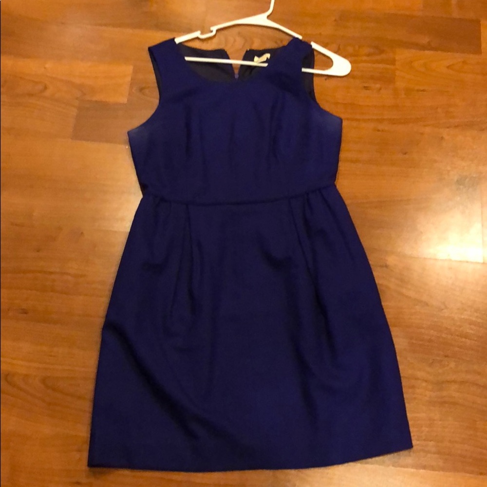 J Crew Dress